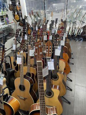 Acoustic basses, 12 strings, classical, acoustic/electric, they have it all!