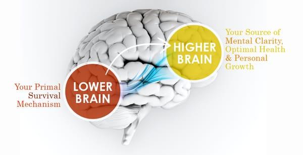 Quantum Leap Nutrition and Wellness