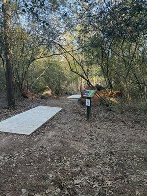 Wright Patman Dam & Lake