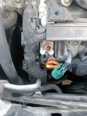 Expert Auto Center
