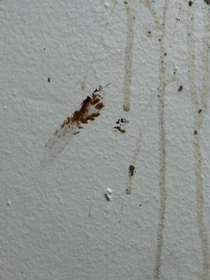 International Park Condo