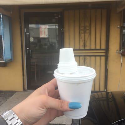 & the Lord said, let there be light.