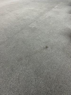 Angel Carpet Cleaning