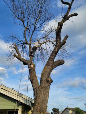 Sierra Nevada Property Maintenance
