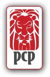 Professional Civil Process