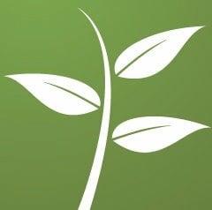 CFBC Logo