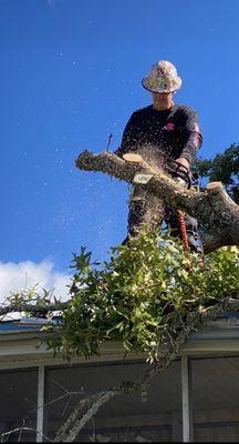 A+ Tree & Landscaping