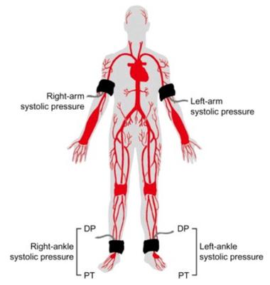 Regional Heart Specialists
