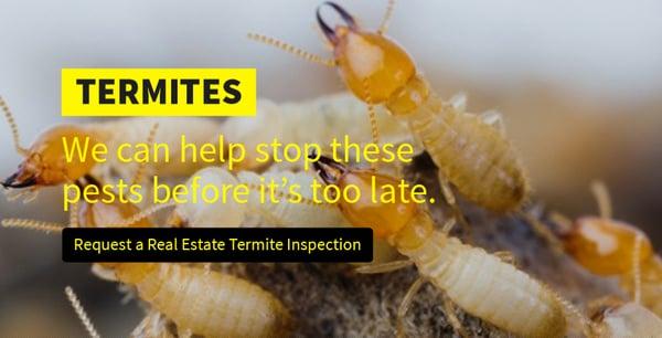 SafeGuard Services Inc.