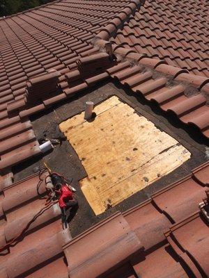 5 Starr Roofing