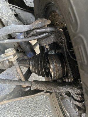 That's the finished product that is nasty you dumb ass