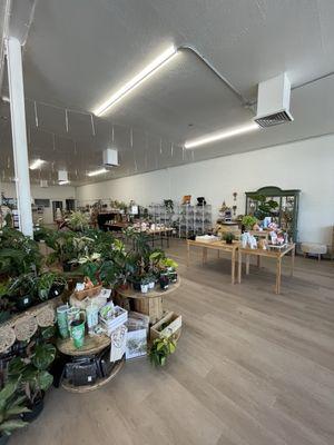 The Northside Collective