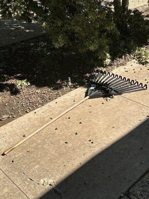 Greene Tree & Landscaping