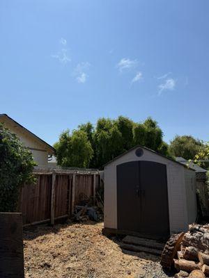 Silverline Tree Service