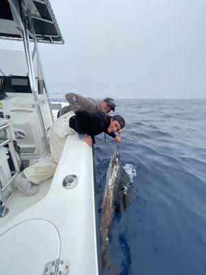 Triple Chunk Charters