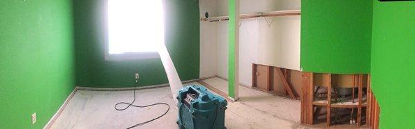 Before picture, during mold remediation.