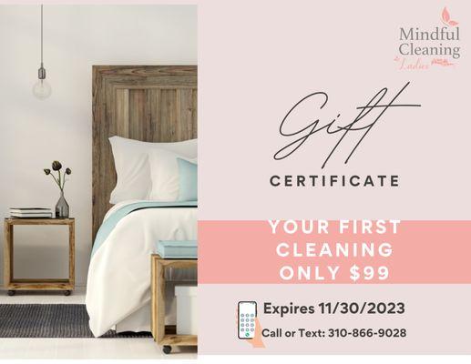 Mindful Cleaning Ladies