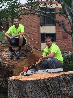 Hansons Tree Service & Landscaping