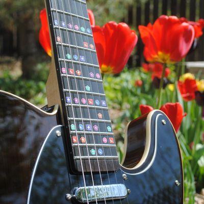 Brenna Method Guitar Studios