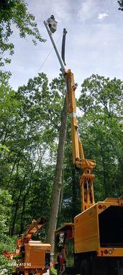 Oak Landscaping and tree service