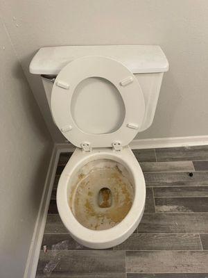 Kretz House Cleaning