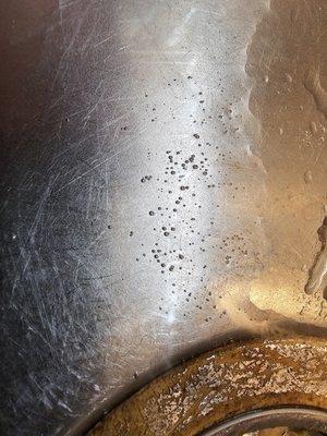 Culligan- West Orange