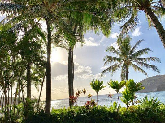 View from the snorkel rental hut.
