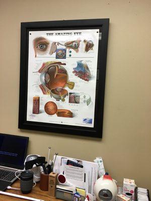 Sight to See Vision Associates