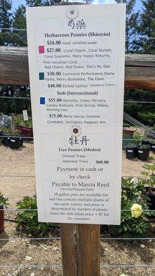 CharMarron Peony Nursery