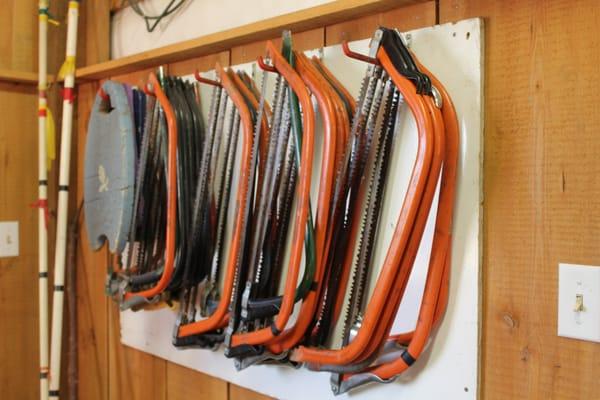 They provide free saws and knee pads.