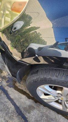 Go Crazy Jumpers !!!