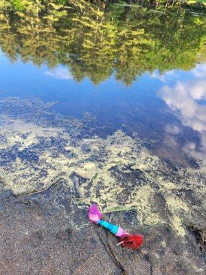 Stratton Brook State Park
