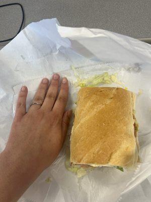 That's HALF of The Regular Sandwich