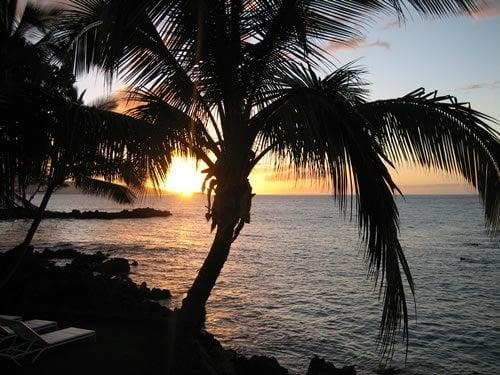 Makena Oceanfront Cottage