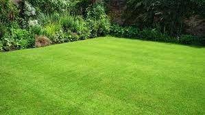 Lawn Care Lawn Weed Control