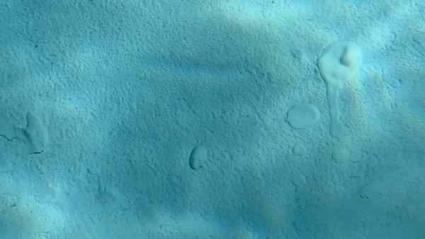 Texas express pool remodeling