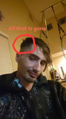 MasterCuts