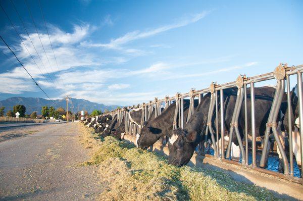 Fresno Madera Farm Credit