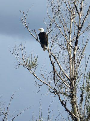 Sunrise Summit Resort