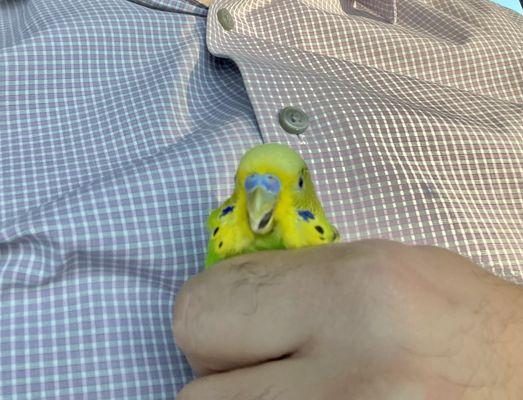 Granero Alcala Pet Shop