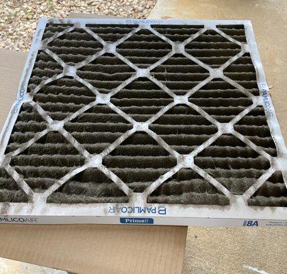 Air filter. Eww.