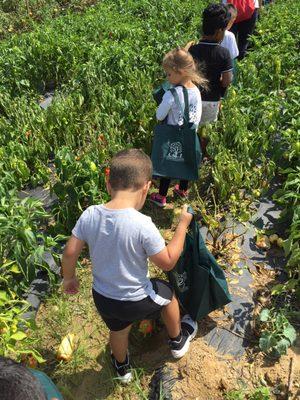 Learning Garden Academy