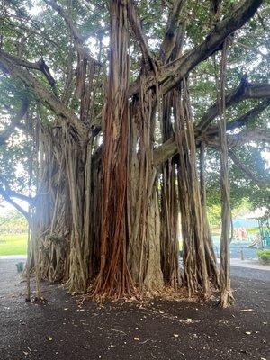 Merrie Christmas Park