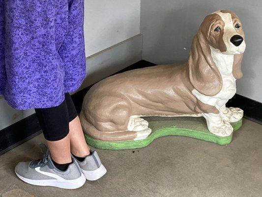 Cambridge Springs Tire Co