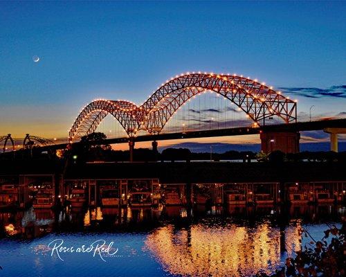 Roses Are Red Photography