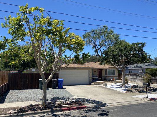 Timberland Tree Care