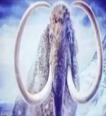 Marinuzzi Chiropractic