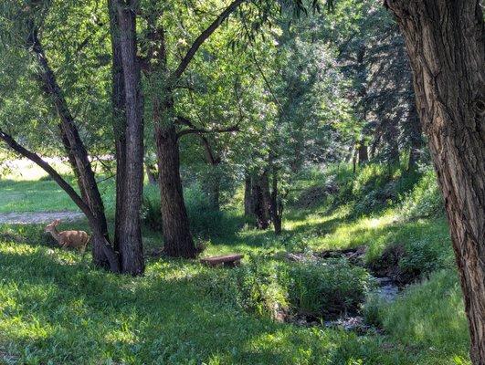 The Indian Hills Community Center and Sign