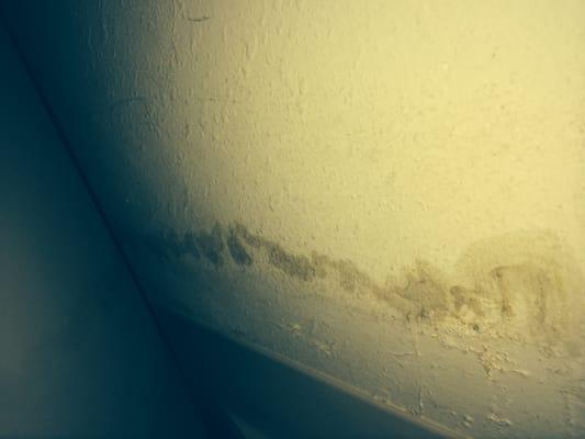 Woodchase Apartments