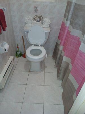 Freda Clean Services